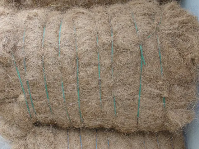 Bales of natural coconut coir tied with twine